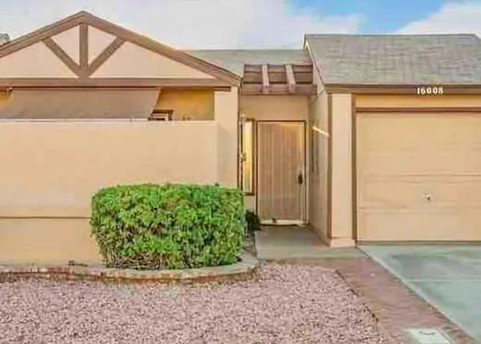 Cozy * Chandler